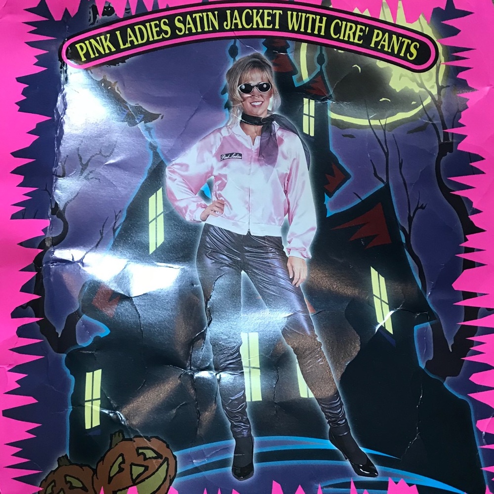Pink ladies costume